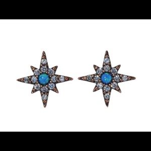 Brand New Taylor Swift Opal Earrings